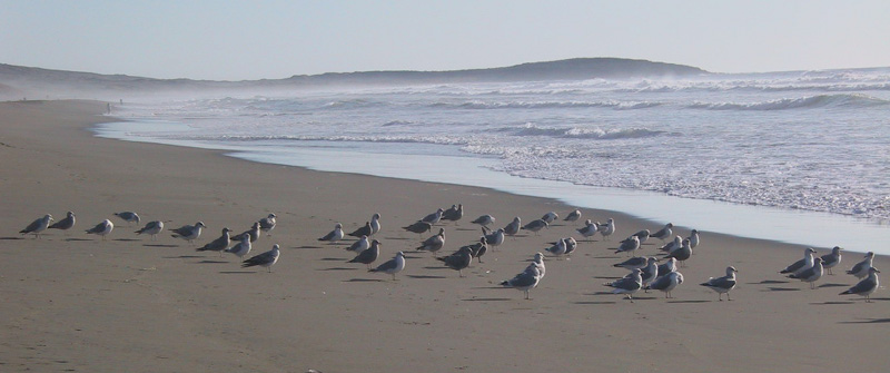 Jenner, CA